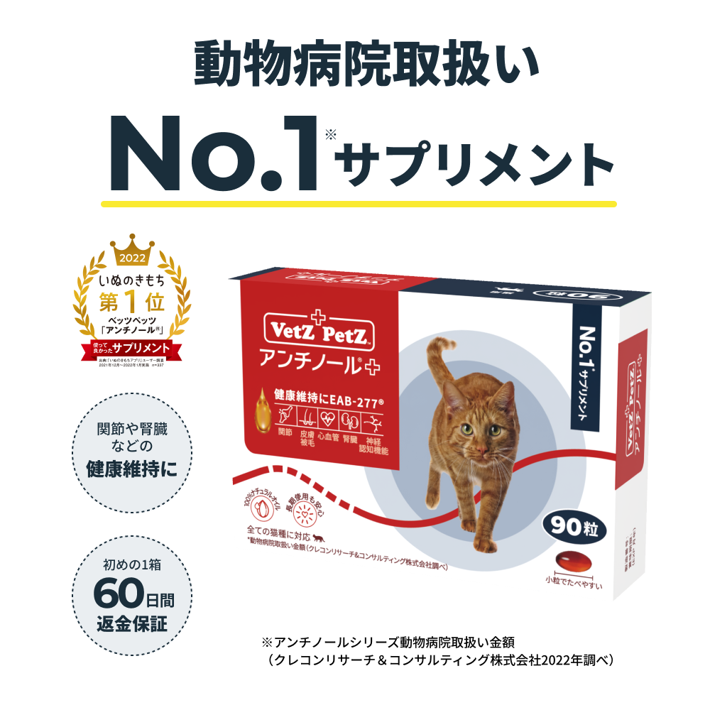 アンチノール90粒1箱