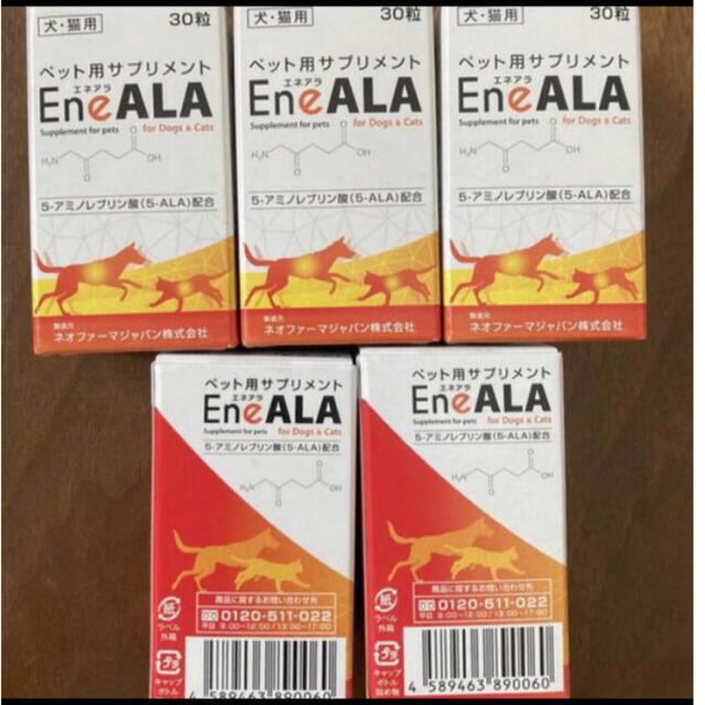 週末タイムセール エネアラ5箱 犬猫用サプリメント新品