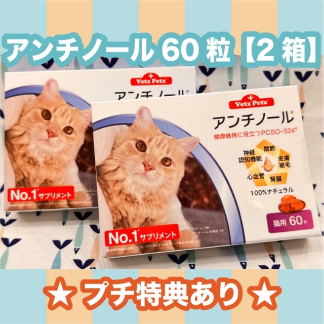 アンチノール 猫用 60粒 2箱〈おまけ付き〉