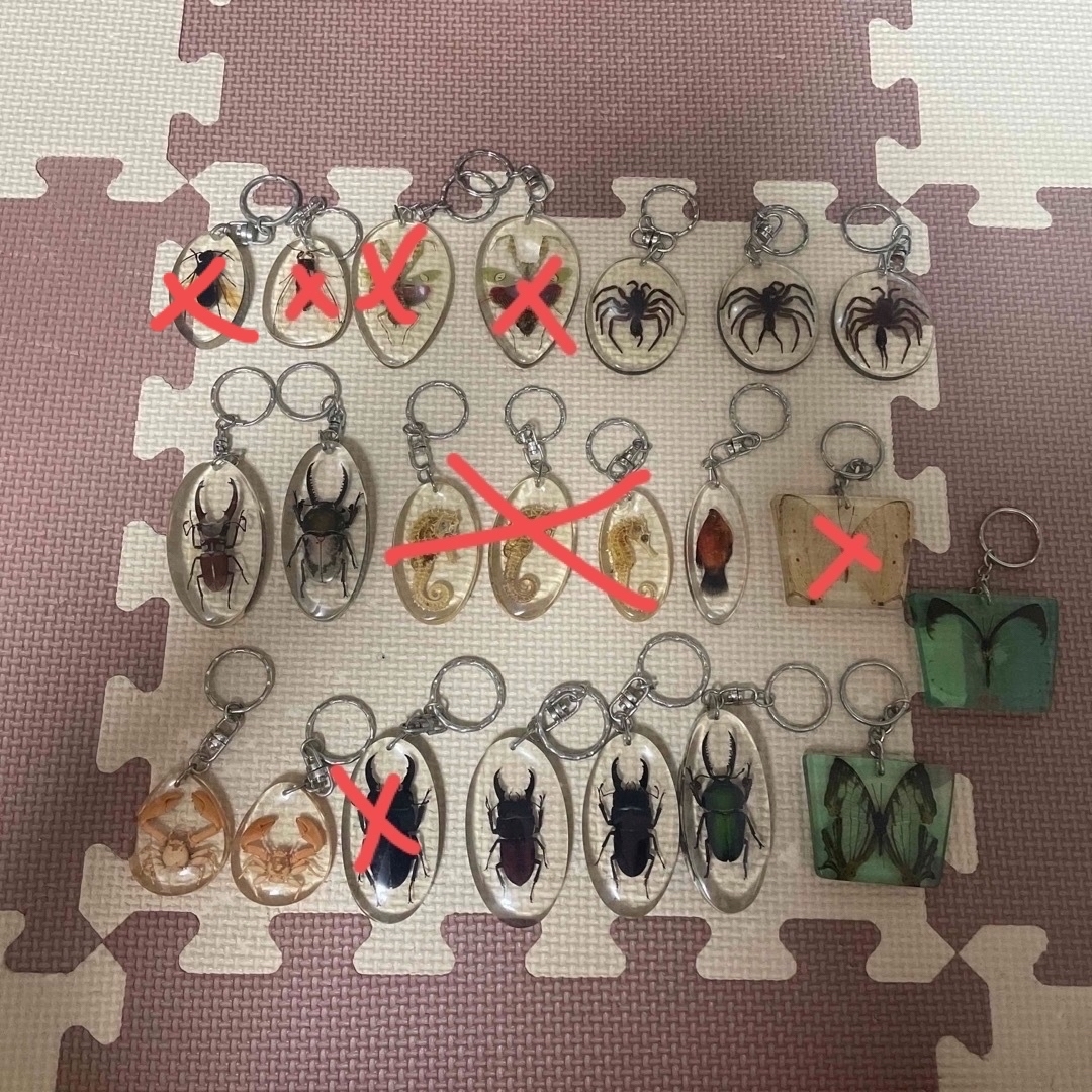 昆虫キーホルダー